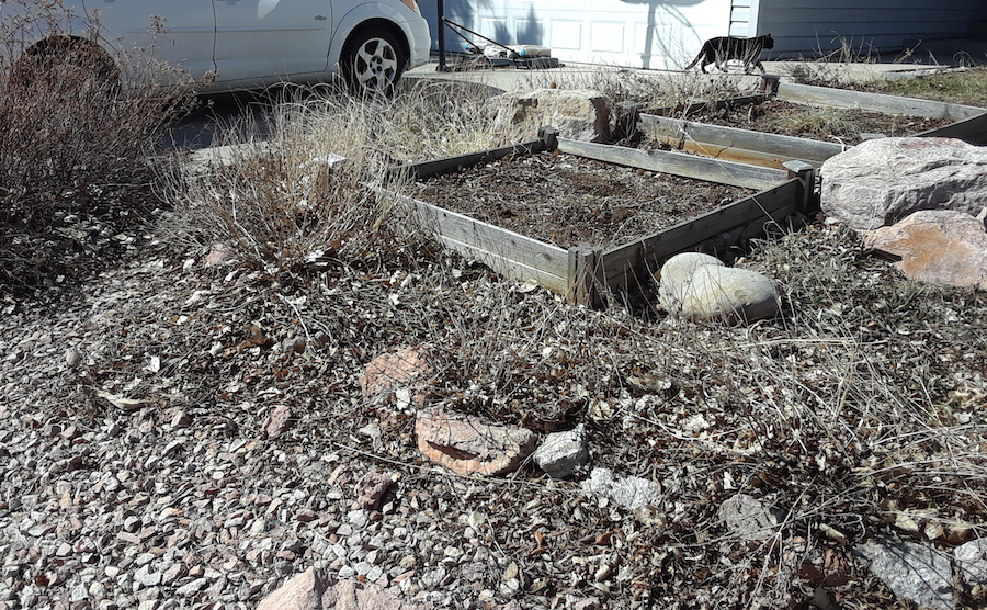 Before Weeding/Cleanup