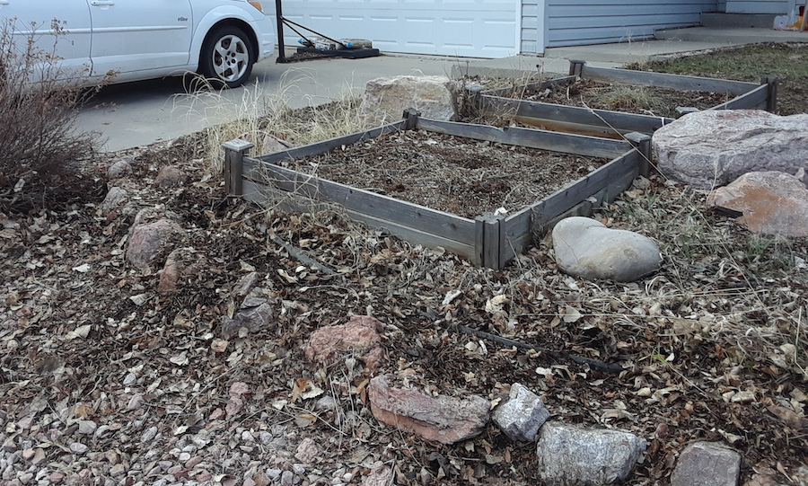 After Weeding/Cleanup