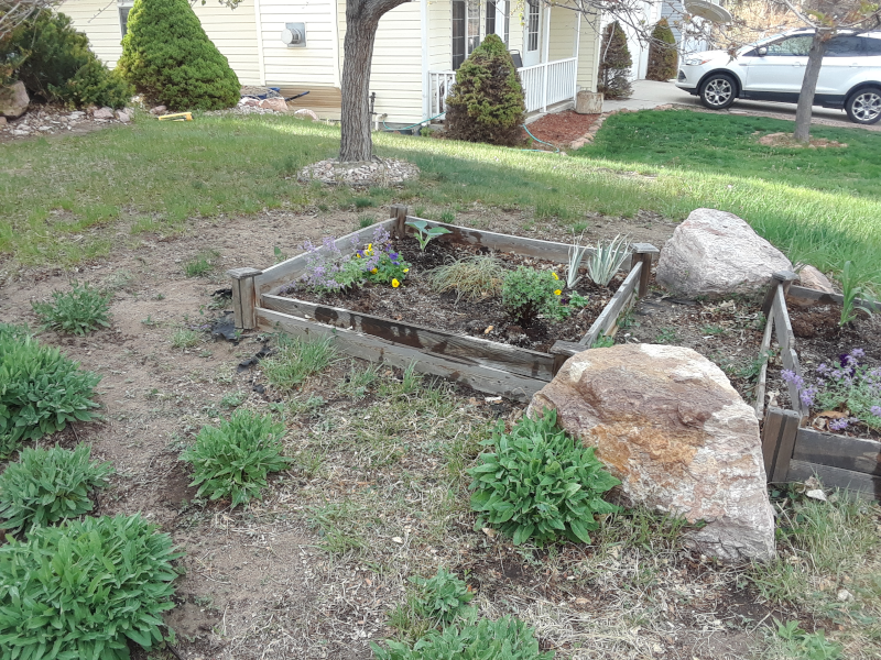 Northern Front-year Flower Bed