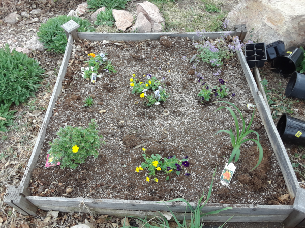 Southern Front-yard Flower Bed