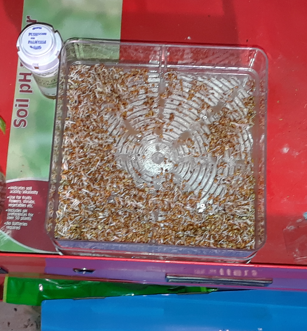 Seed Sprouting
