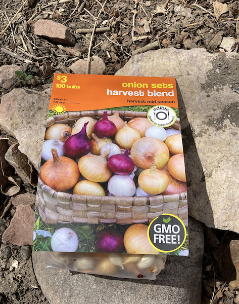 Onion Bulb Packet
