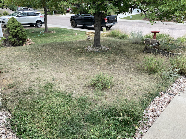 Front yard mowed