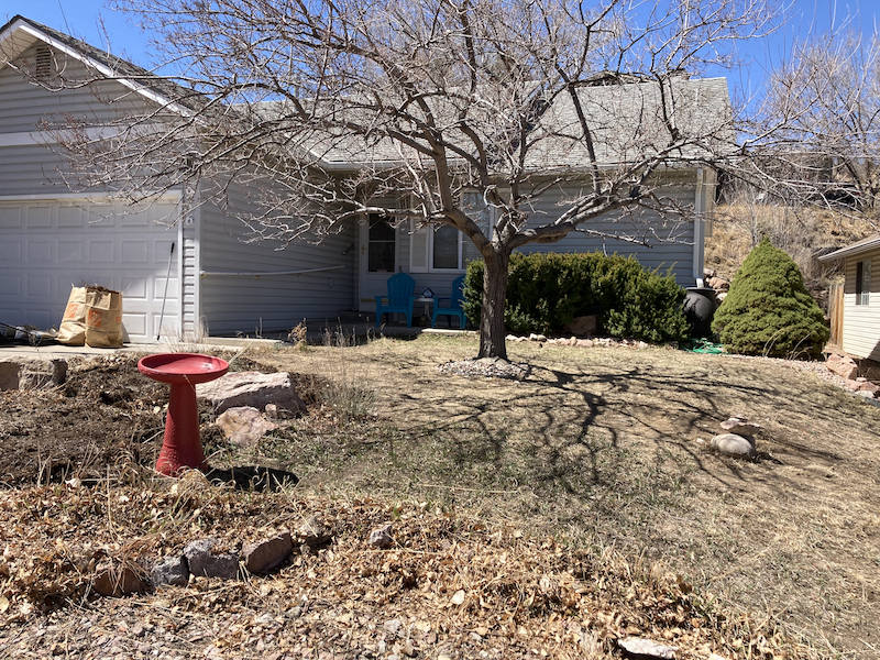 Front yard