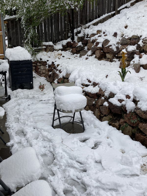 Snow in the backyard