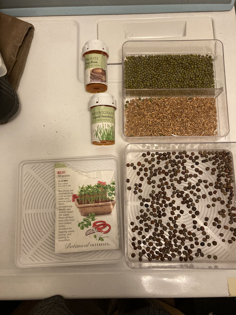 Mung Bean, Wheatgrass, and Peas