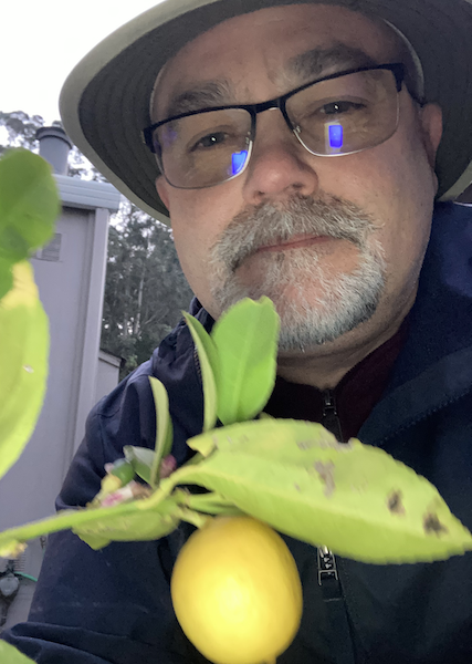 Lemon Tree w/Jeremy Nelson