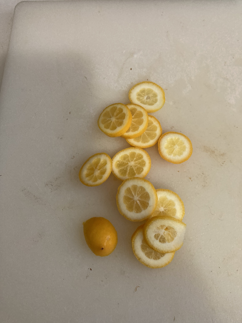 Slice of lemons on cutting board