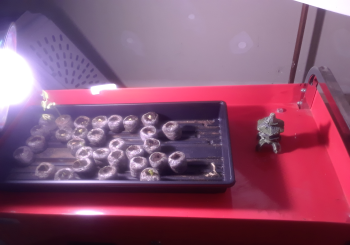 Seed Starter Grow Station