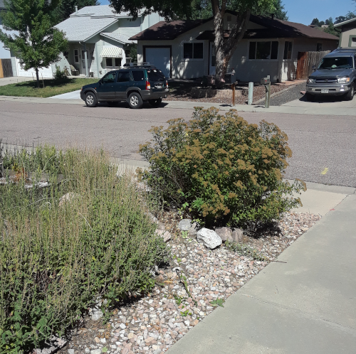 Removed Tree Samplings